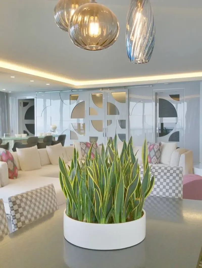 Snake Plant Stands Tall In The Dimmest Corners