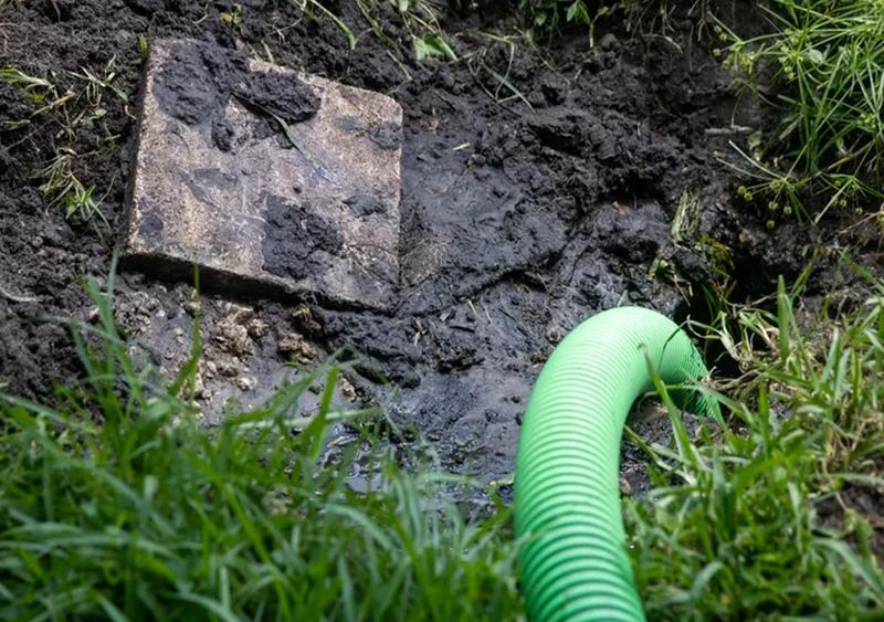 Sniff Test Clues That Separate Soggy Soil From Sewage