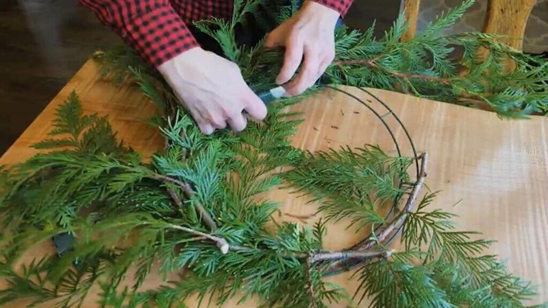 Snip Branches Wisely To Protect Your Shrubs