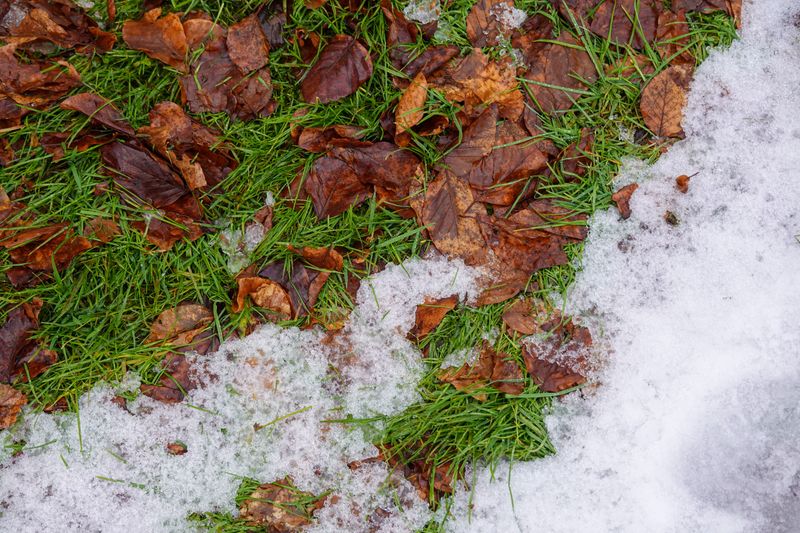 Snow Cover Works Like A Blanket Snow Cover Works Like A Blanket