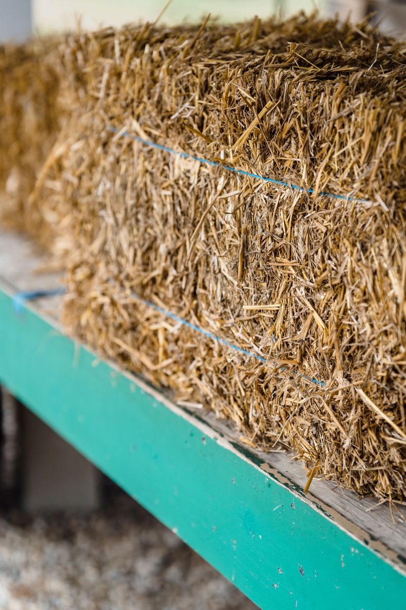 Soak And Feed Your Hay Bales Before Planting