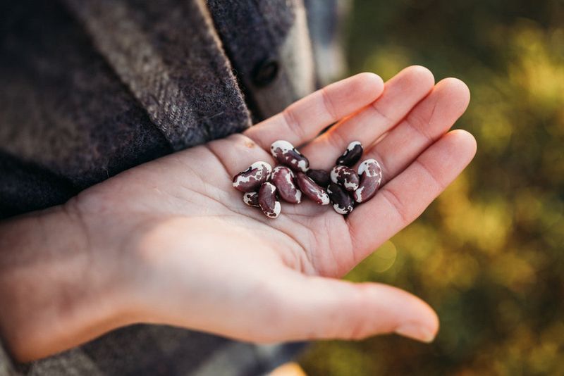 Soak Only The Seeds That Benefit