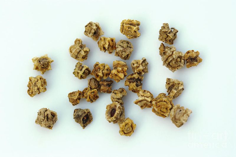 Soak Seeds Overnight For Faster Sprouts