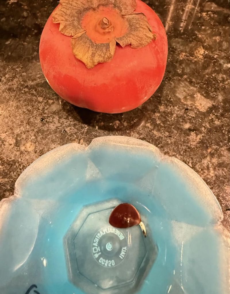 Soak Stubborn Seeds First To Soften Them