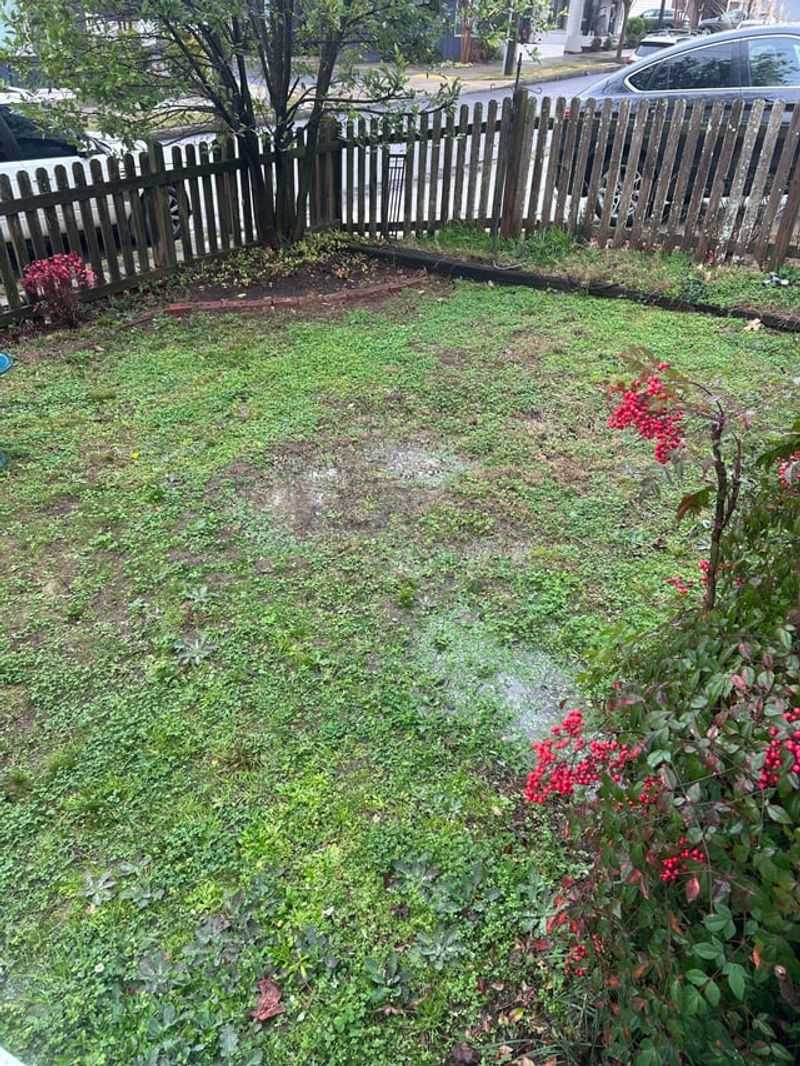 Soaked Turf After A Storm Opens The Door To Trouble