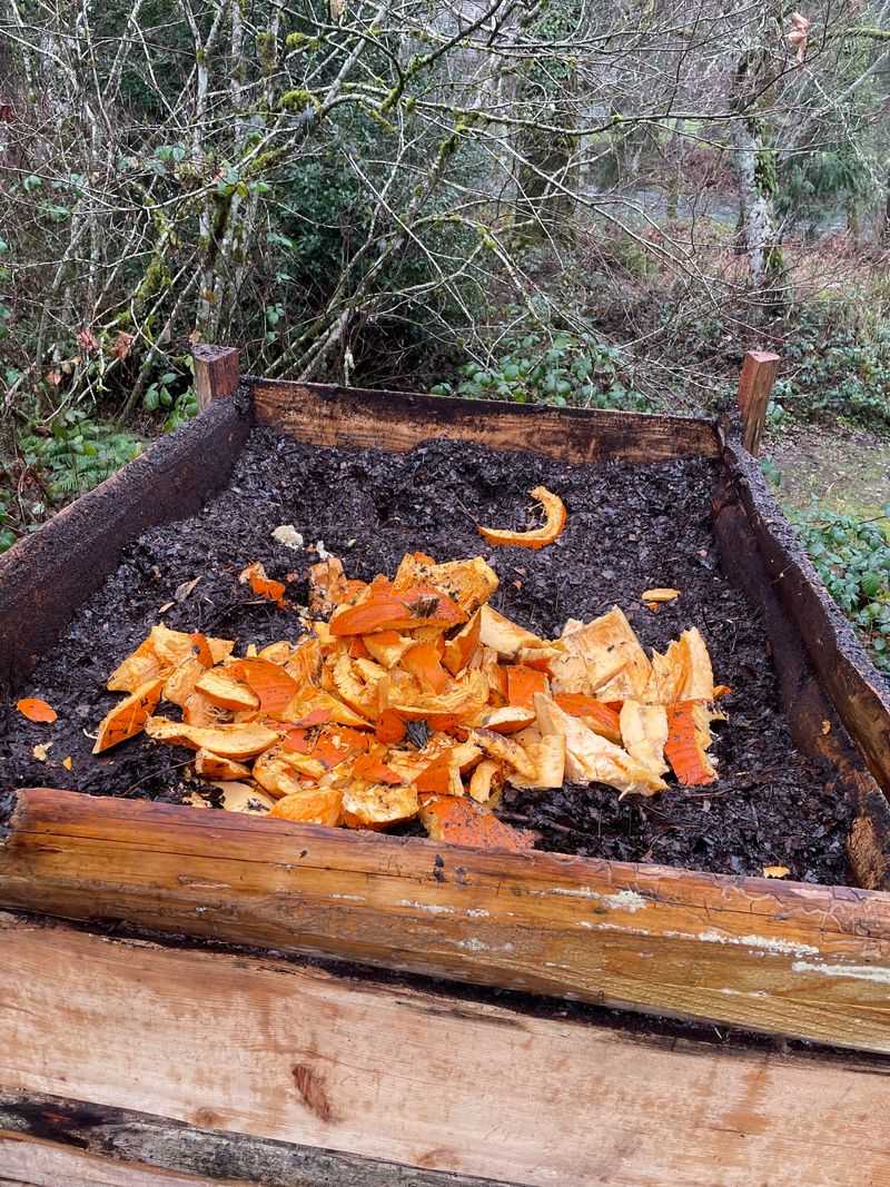 Soft Orange Flesh Turns Into Rich Soil Nutrients