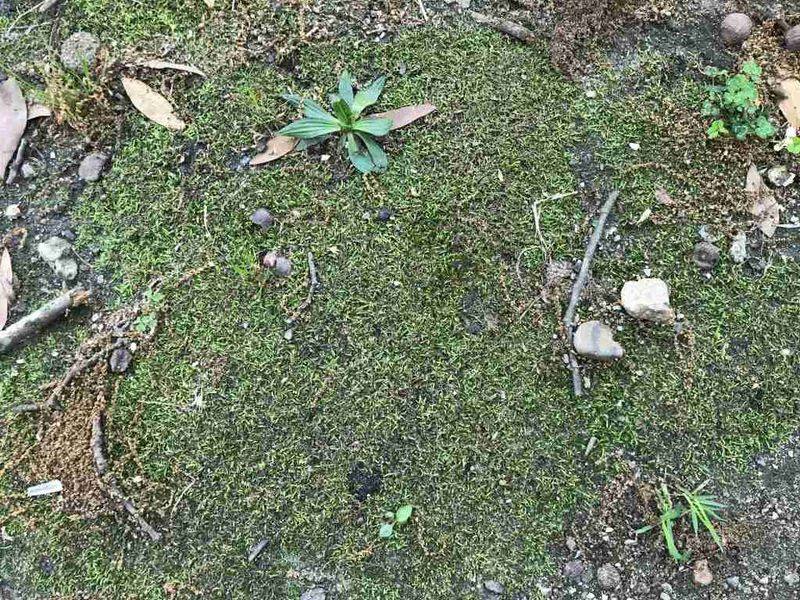 Soggy Soil Is Holding Too Much Water