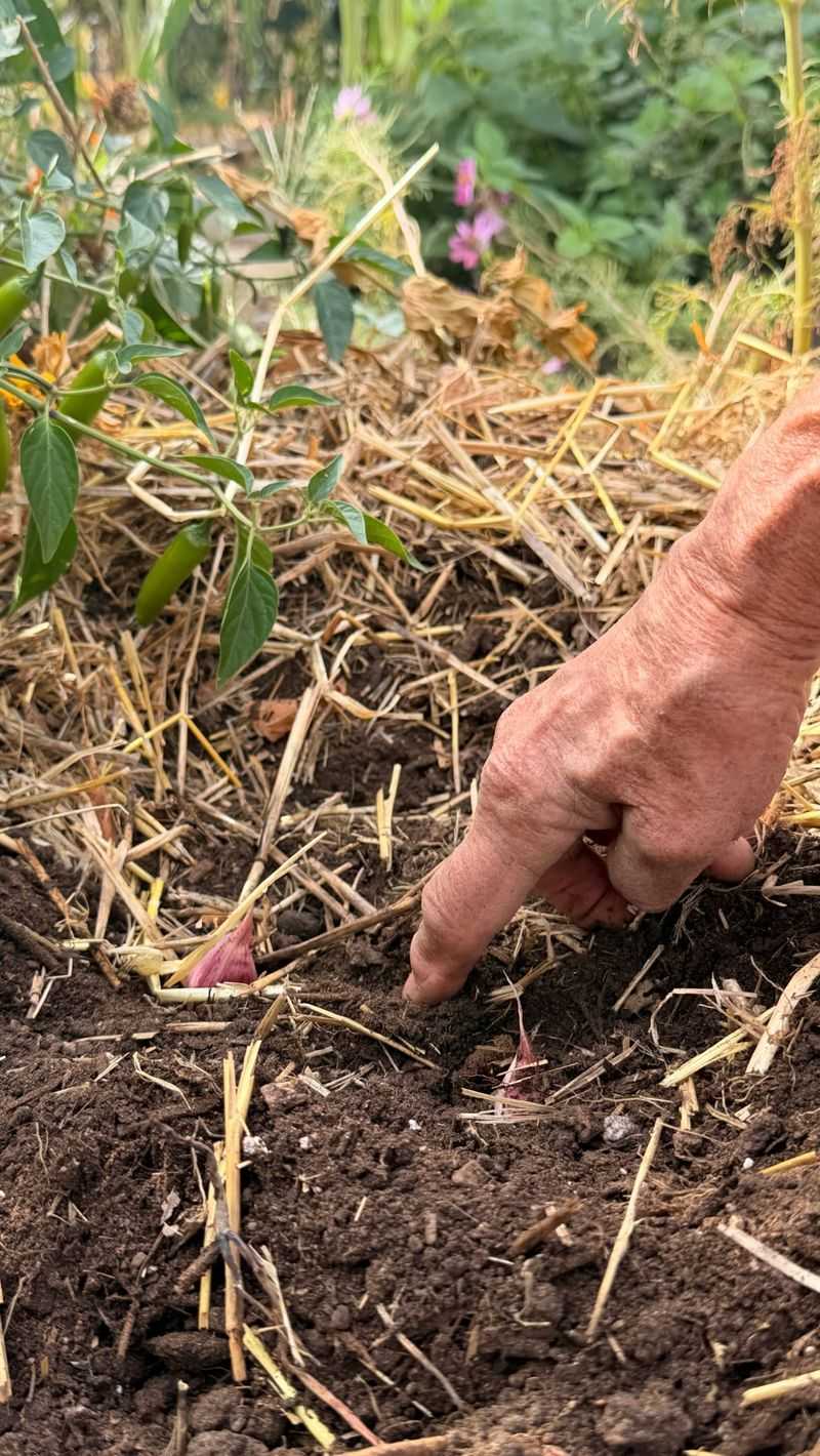 Soggy Soil Is the Enemy, So Prep Your Beds Well