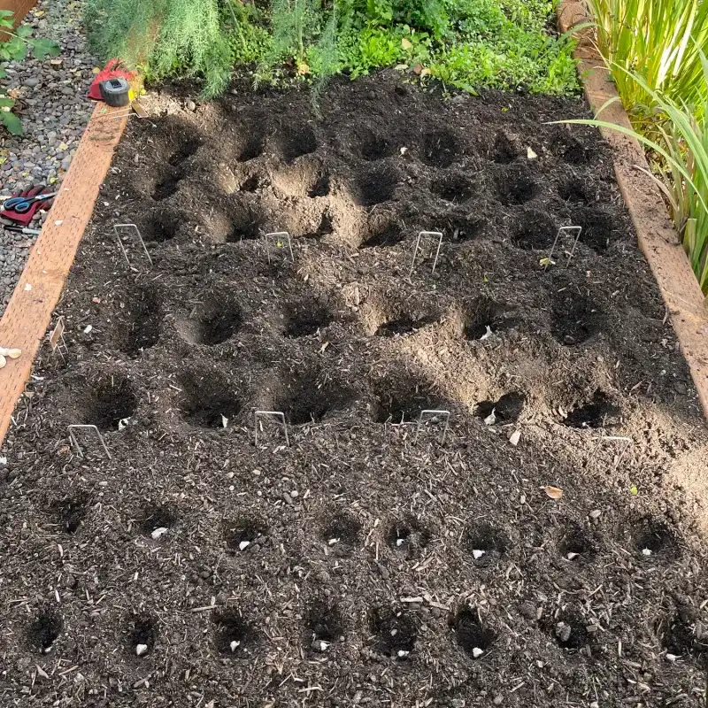 Soil Prep For A Strong Start Soil Prep For A Strong Start