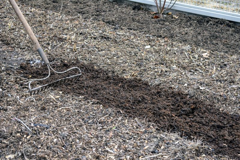 Soil Preparation Steps Before The First Heavy Downpour