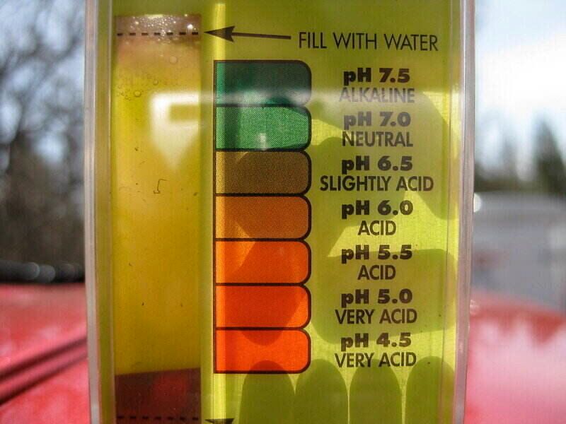 Soil Test Reports Show How Much Lime Is Actually Needed