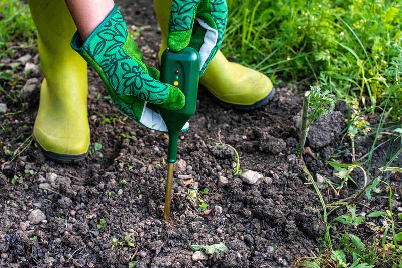 Soil Testing Can Reveal Salt Problems Before Replanting Soil Testing Can Reveal Salt Problems Before Replanting