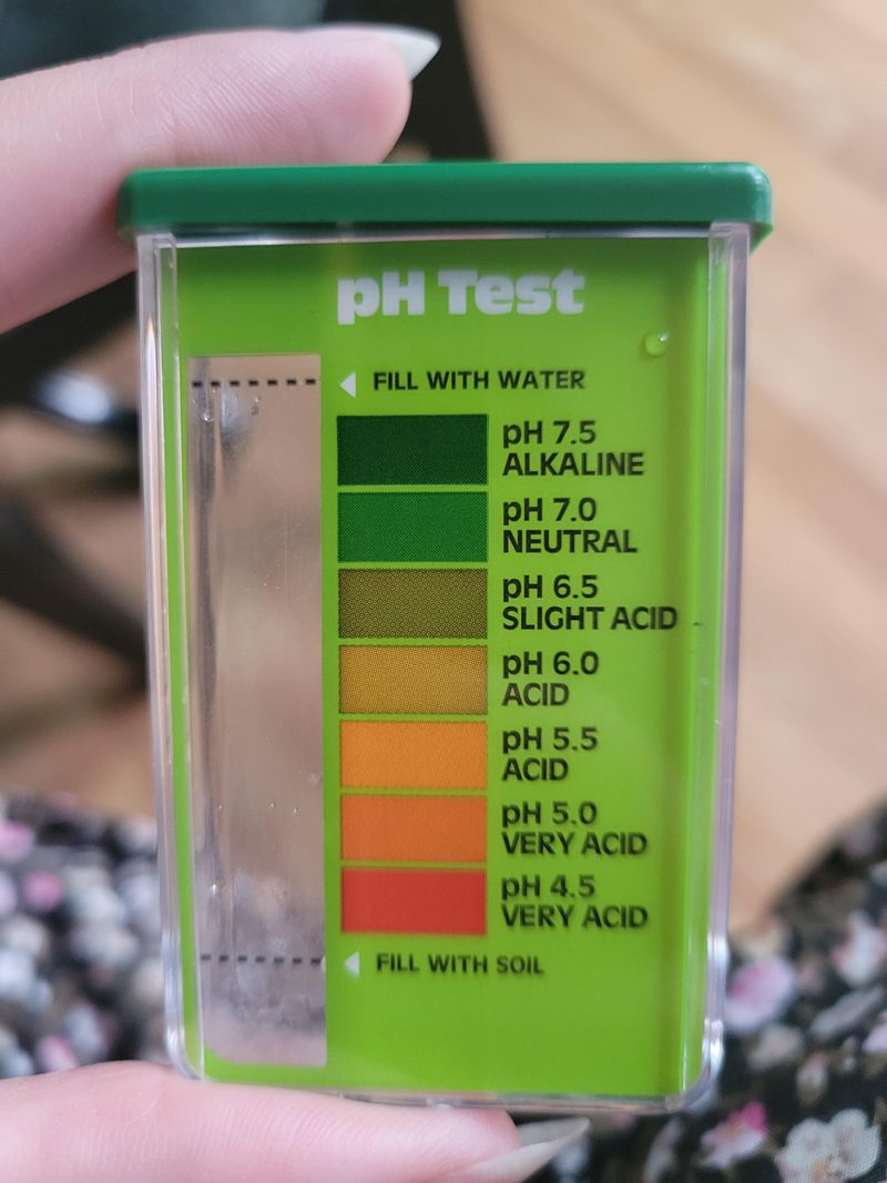 Soil That Already Tests Alkaline Soil That Already Tests Alkaline