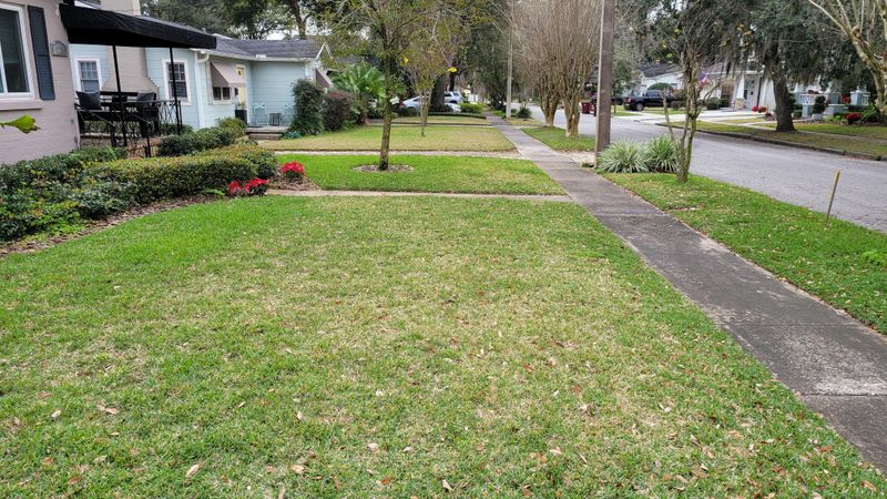 Some Brown Lawns Are Just Dormant