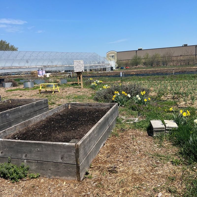 Some Garden Beds Need Compost More Than Others Some Garden Beds Need Compost More Than Others