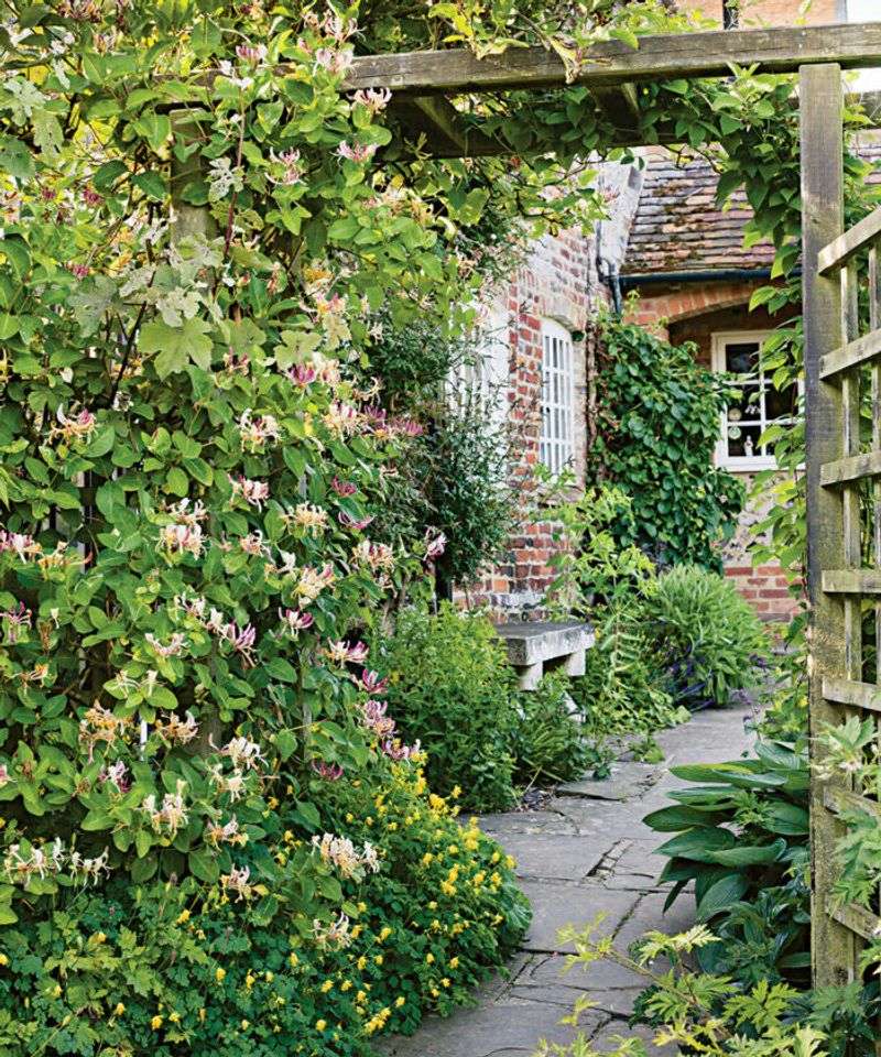 Some afternoon shade may make the site a better fit Some afternoon shade may make the site a better fit