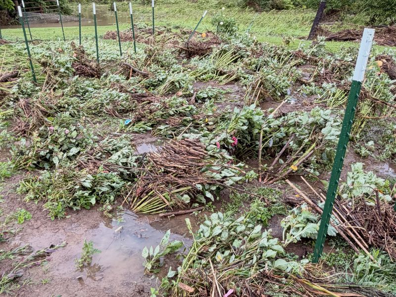 Some of Your Harvest Has to Go, Even If It Looks Fine