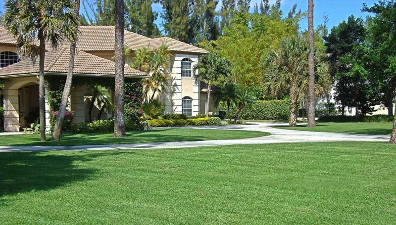 South Florida Lawns Stay Green But Grow More Slowly South Florida Lawns Stay Green But Grow More Slowly