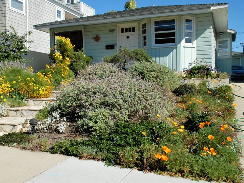 Space Shrubs To Break The Fuel Ladder