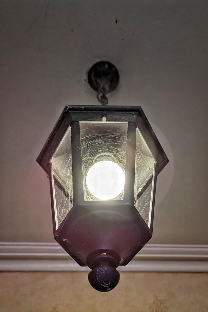 Spiders Follow The Insects To Your Lights Spiders Follow The Insects To Your Lights