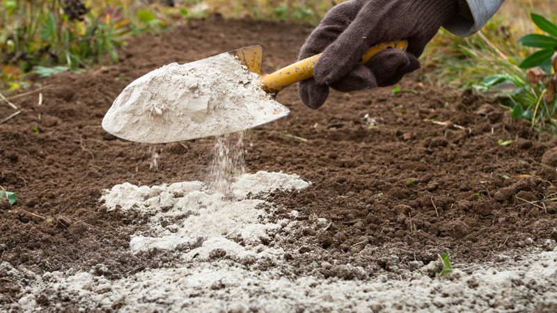 Split Big Lime Applications Between Fall And Spring Split Big Lime Applications Between Fall And Spring
