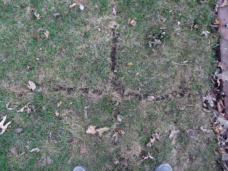 Spongy Soil Underfoot Near The Edges