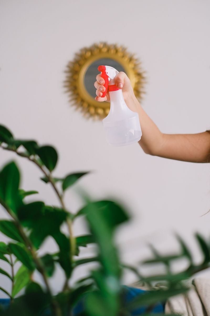 Spray Them With Simple Soapy Water
