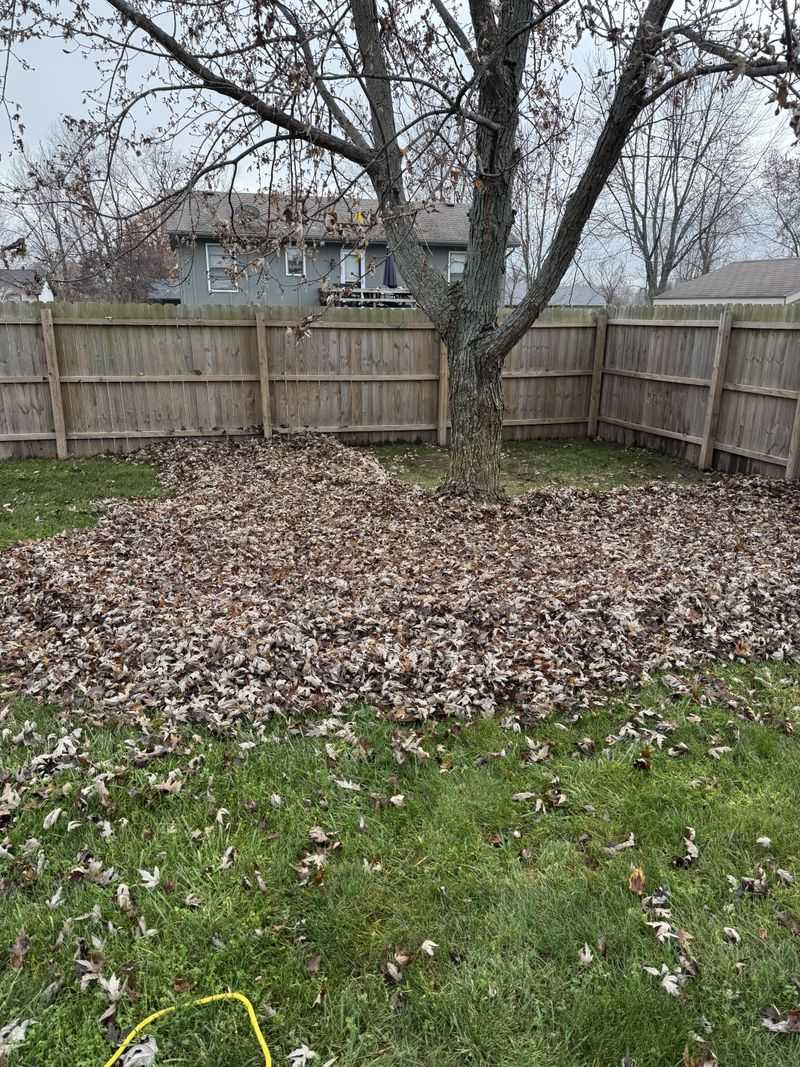 Spread Deep Piles Thin Before Mowing Spread Deep Piles Thin Before Mowing