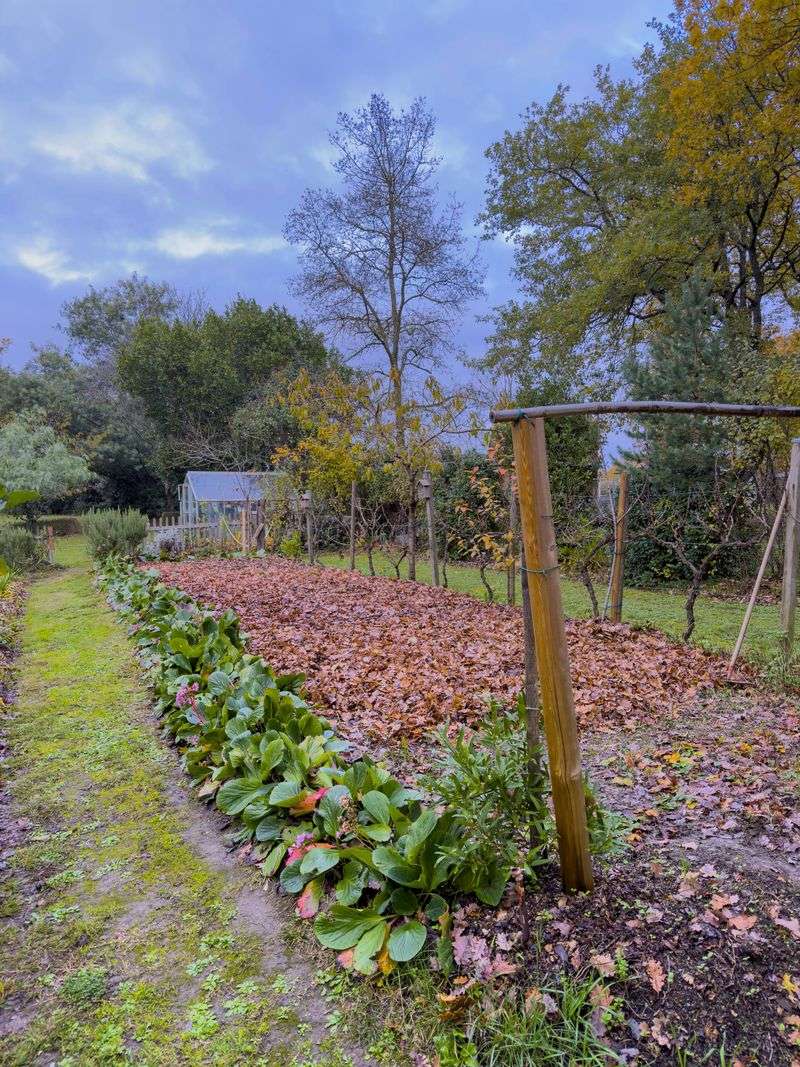 Spread Leaf Mulch Over Garden Beds