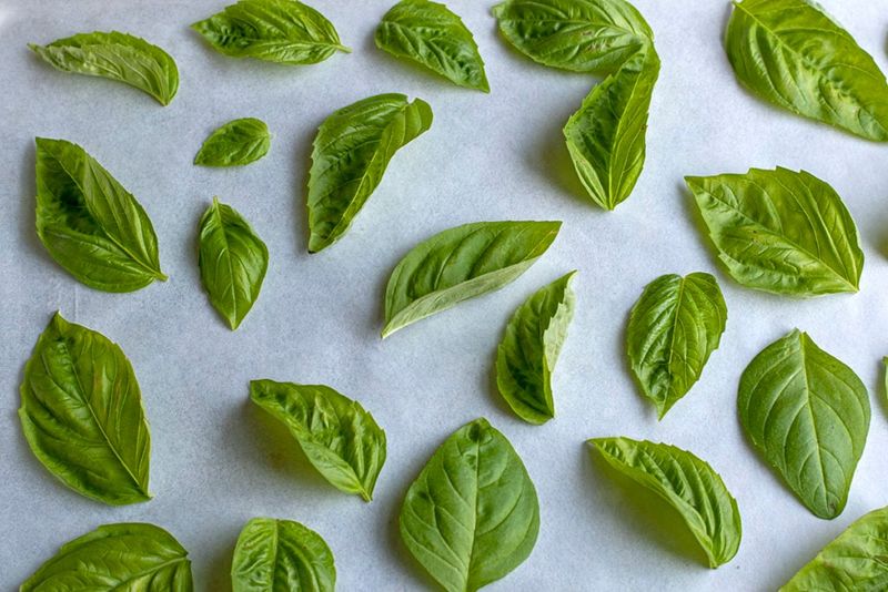 Spread the leaves in a single layer