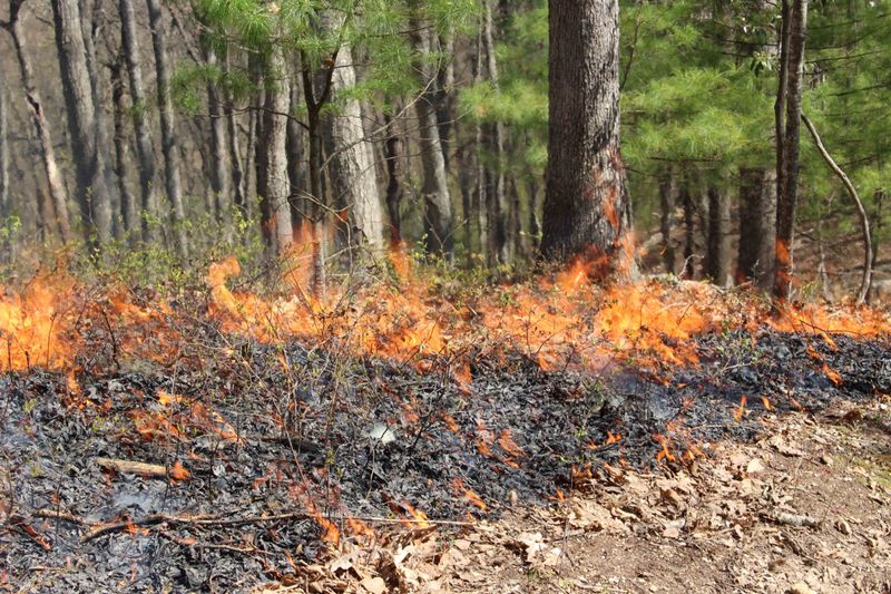 Spring Brings Even Tighter Limits Statewide