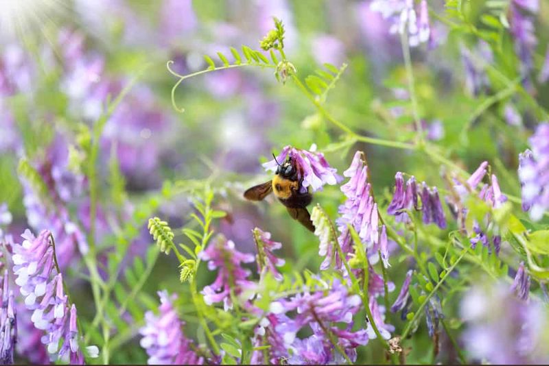 Spring Growth Spurts Surprise Gardeners