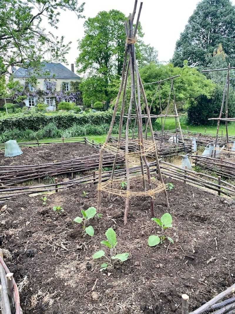 Spring Planting Can Start With Less Digging And Soil Disturbance Spring Planting Can Start With Less Digging And Soil Disturbance