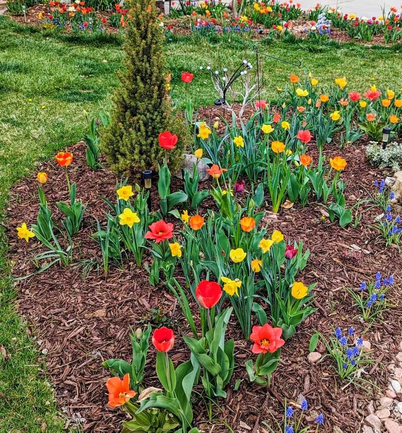 Spring Shows Whether Your Gamble Worked Spring Shows Whether Your Gamble Worked