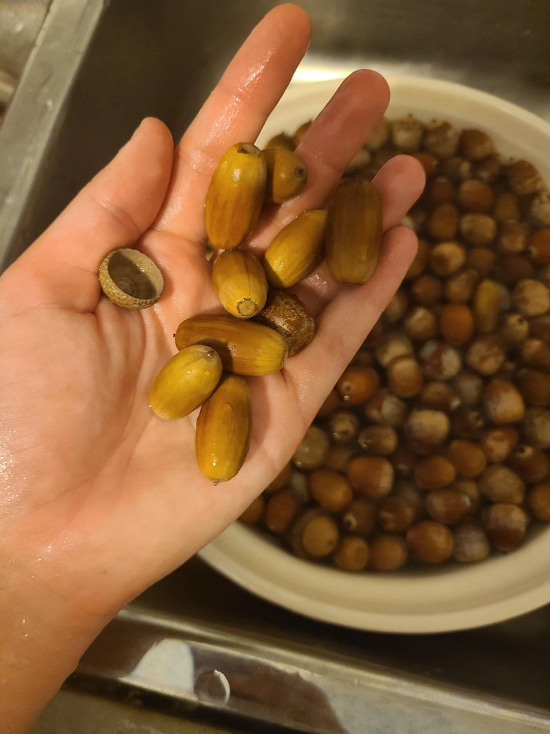 Spring Weather Sets Up This Month's Harvest