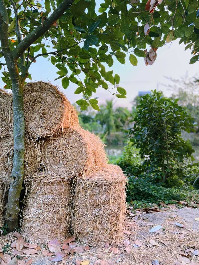 Stack Hay Bales Into A Cozy Cold Frame