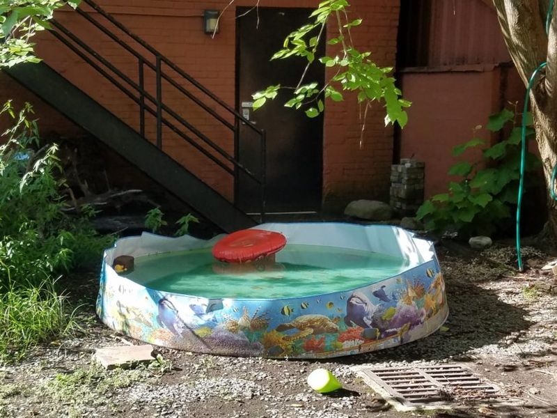 Standing water is the mosquito-control target Standing water is the mosquito-control target