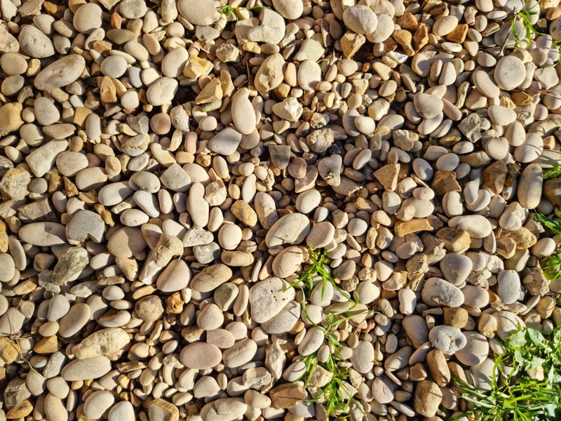 Start Small With A Sunny Gravel Strip This Weekend Start Small With A Sunny Gravel Strip This Weekend