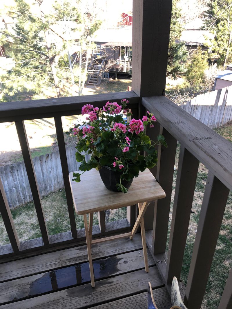 Start With A Balanced Fertilizer