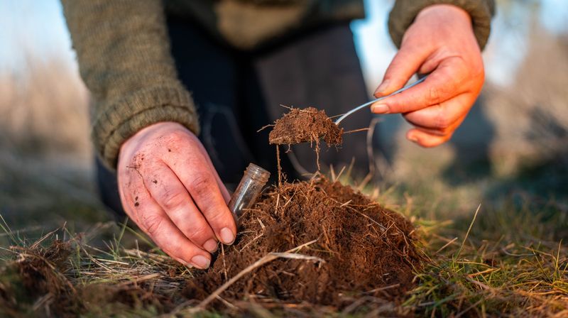 Start With A Soil Test Start With A Soil Test