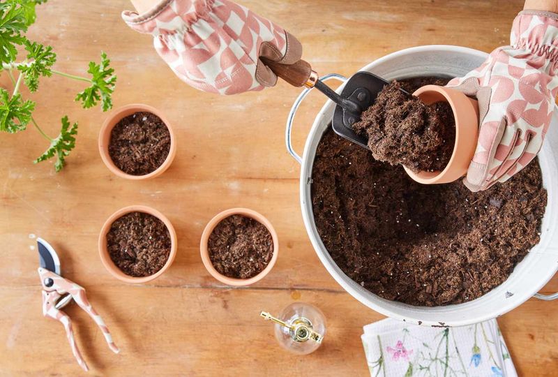 Start With a Fast-Draining Potting Mix