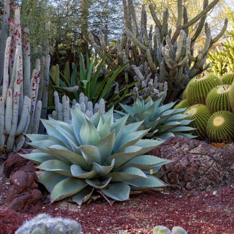 State Law Already Protects Water-Wise Landscapes