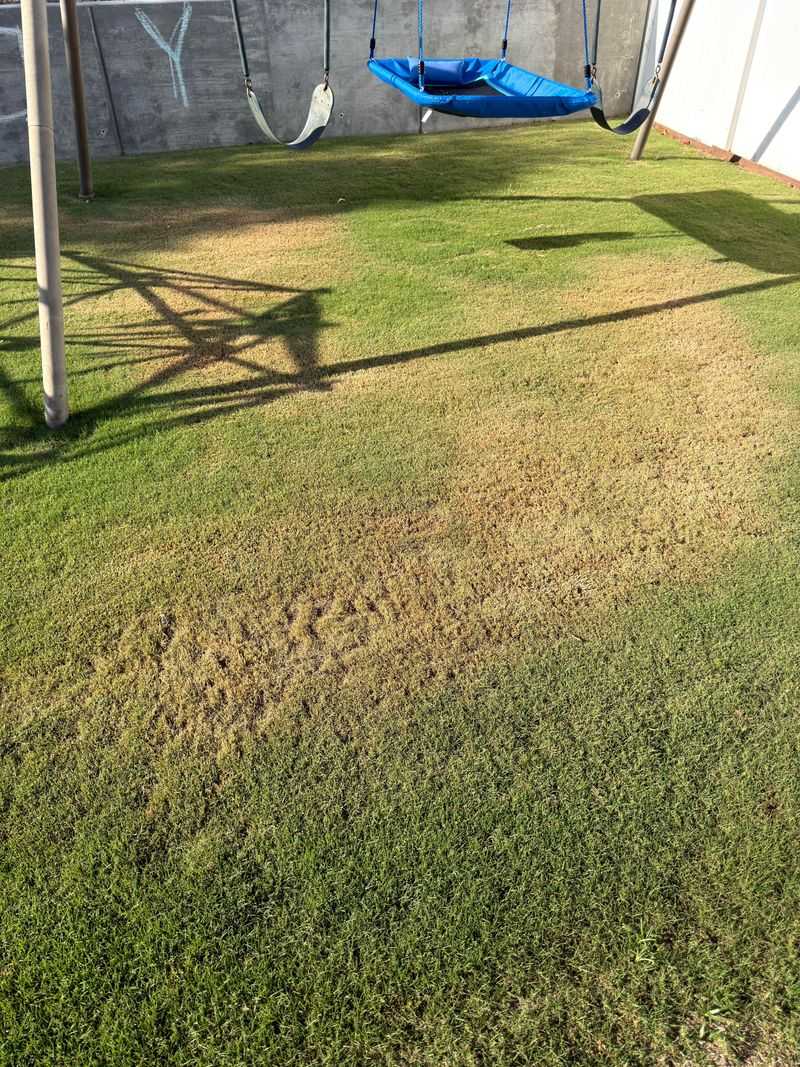 State Law Bars Fines For Reduced Watering During Declared Droughts