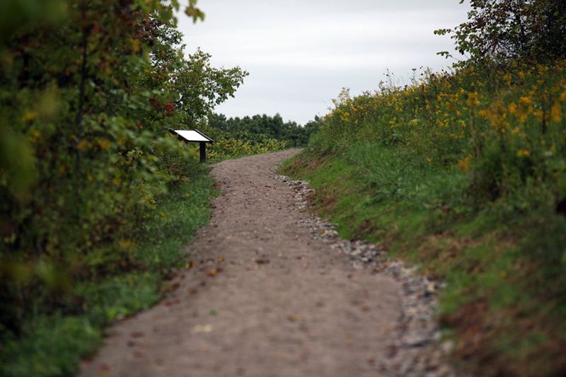 State Parks Require A Collector's Permit