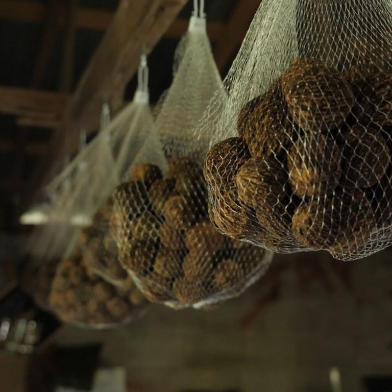 Store Cured Nuts In Mesh Bags Store Cured Nuts In Mesh Bags