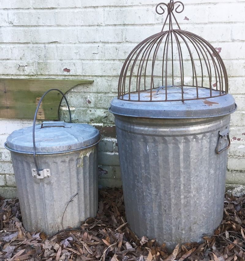 Store Feed Where Wild Birds Can’t Reach It