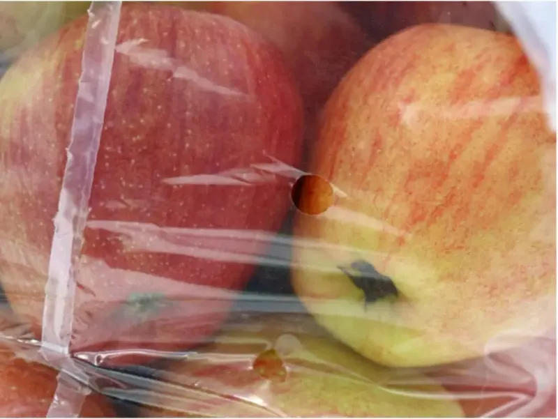 Store Picked Apples Cold To Stretch The Harvest Store Picked Apples Cold To Stretch The Harvest