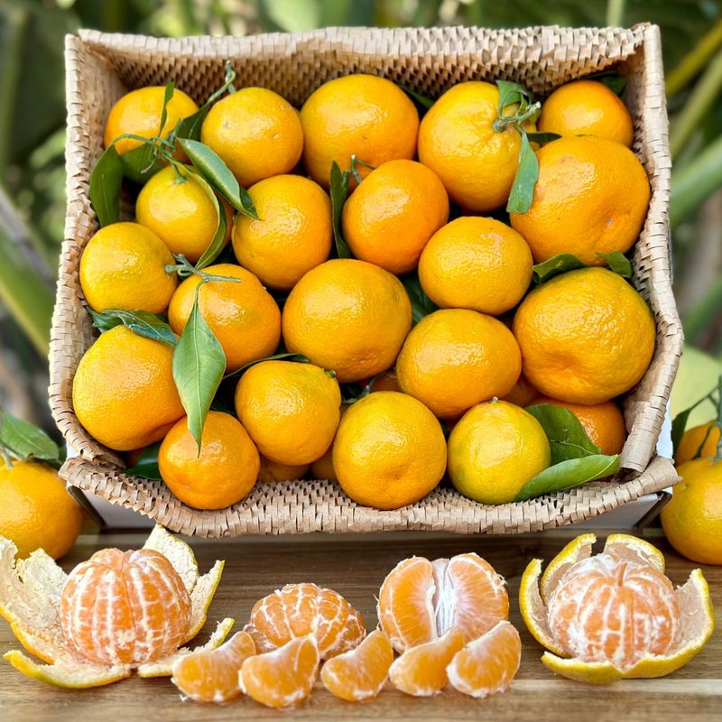 Store Picked Fruit In The Fridge At 32 To 36 Degrees