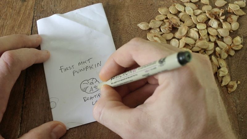 Store Seeds Safely Through Winter