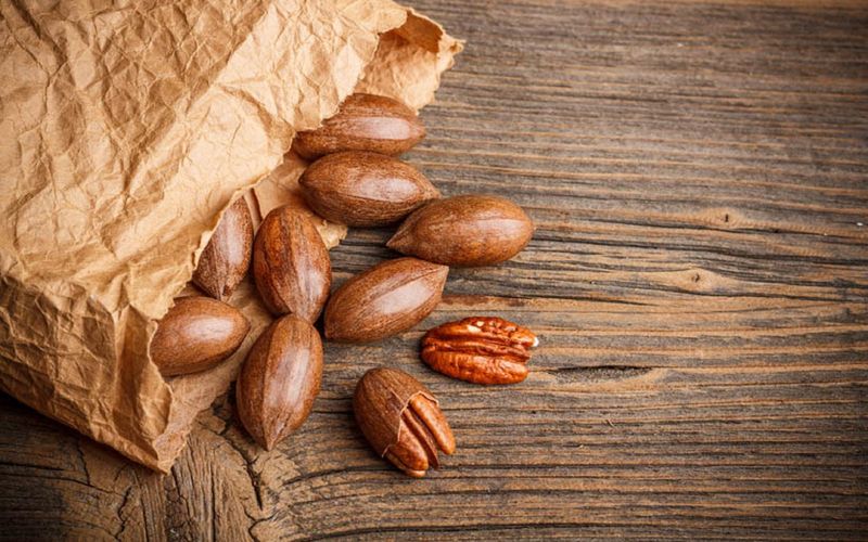 Store Your Pecans For Lasting Freshness Store Your Pecans For Lasting Freshness